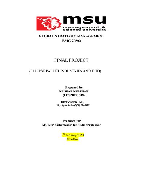 Fp Report Hello Global Strategic Management Bmg Final Project