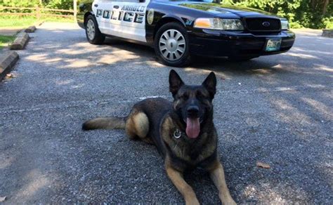 Arnold K 9 Police Unit The City Of Arnold Missouri