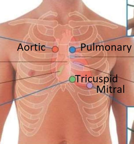 NRSG 348 Final Exam CARDIOVASCULAR SYSTEM Flashcards Quizlet