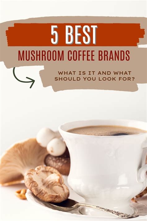 5 Best Mushroom Coffee Brands