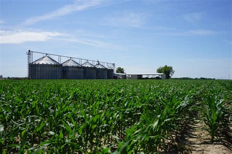 Mississippi Farm Land Photo