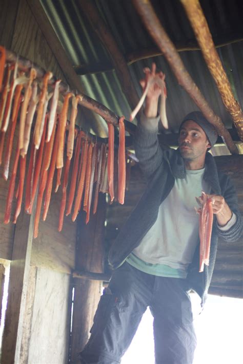 The Decline Of Wild Salmon In Alaskas Yukon Puts Lives At Risk