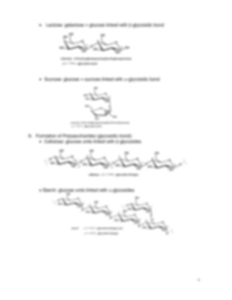 Solution Chapter Summary Of Carbohydrates Naming Common Kinds All Reactions Stereochem Of Carbs