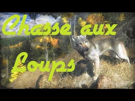 Chasse Aux Loups The Hunter YouTube