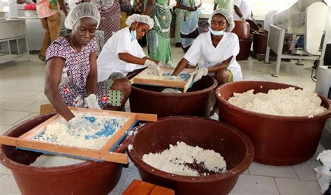 Grand Libreville Rupture De P Te De Manioc Dans Les D P Ts De Stock