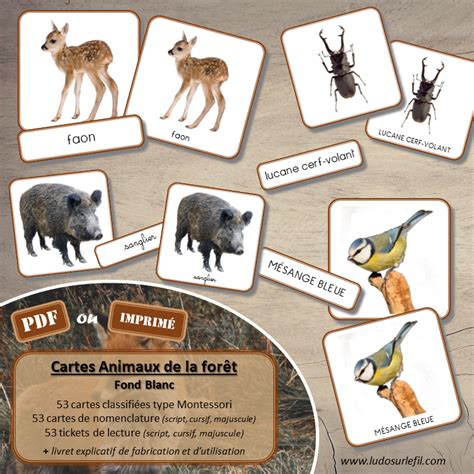 Haut 89 Imagen Carte Animaux Fr Thptnganamst Edu Vn