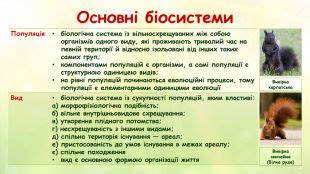 Презентація з біології для учнів 10 класу (рівень стандарту) "Рівні ...