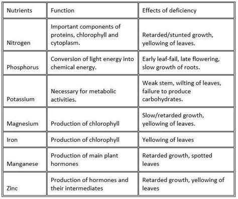 Activity No Role Of Nutrients And Effects Of Their Deficiency On