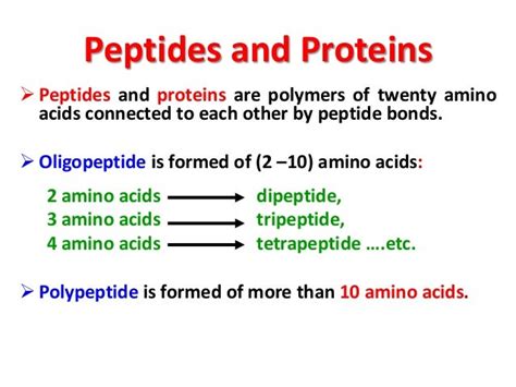 Food Proteins