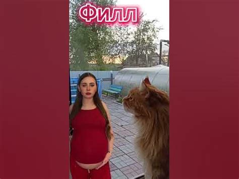 Соседка зашла... - YouTube