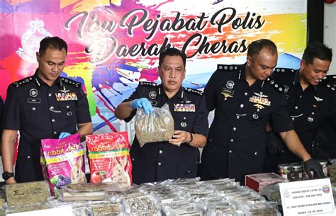 Cops Bust Ganja Traffickers In Cheras Seize RM300 000 In Drugs Arrest