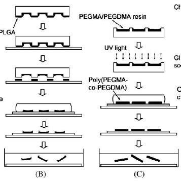 SEM Images Of PDMS Stamps With A Round Cornered Square And B