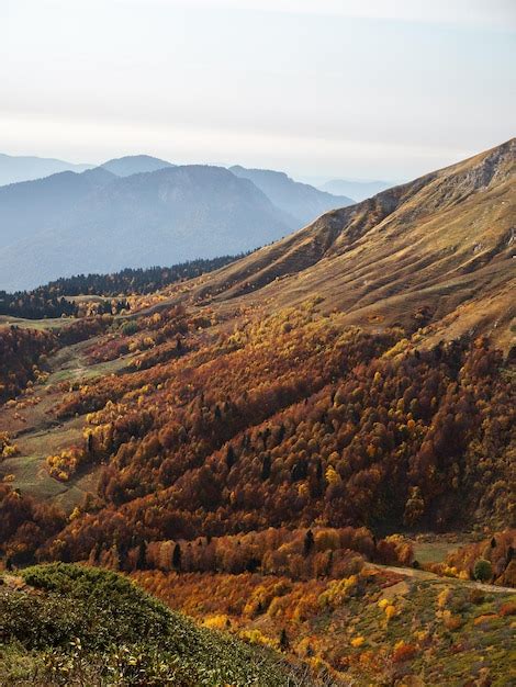 Belo Panorama Da Liberdade Das Montanhas E Da Beleza Da Natureza Vista