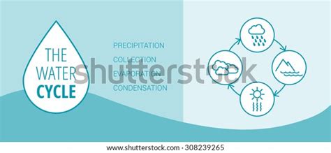 Water Cycle Vector Diagram Precipitation Collection Stock Vector ...