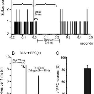 BLA Stimulation Evokes Inhibitory BLA 3 MPFC And Excitatory BLA 3