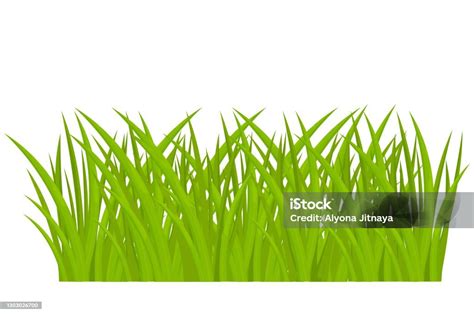 Kartun Rumput Hijau Dalam Gaya Kartun Terisolasi Pada Putih Latar