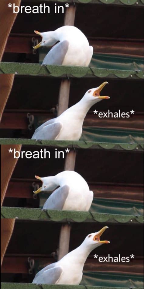 Take A Deep Breath Meme Take A Deep Breath Crona