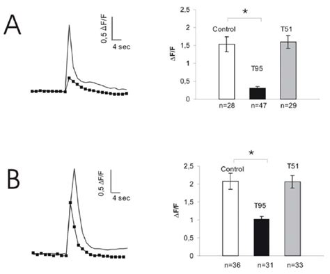 Depolarization-induced calcium release in control or triadin... | Download Scientific Diagram