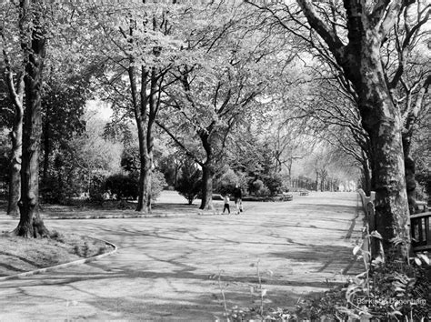 Woodland View At Barking Park Barking 1971 Barking And Dagenham