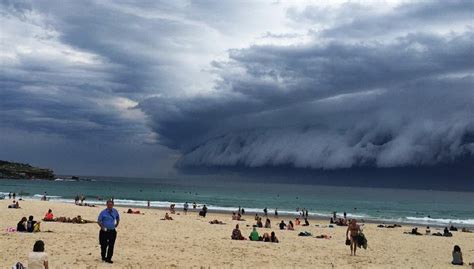 Coisas Bizarras Encontradas Na Austrália TriCurioso