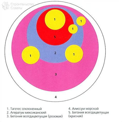 Цветники и клумбы своими руками - оформление, идеи (+фото, схемы)