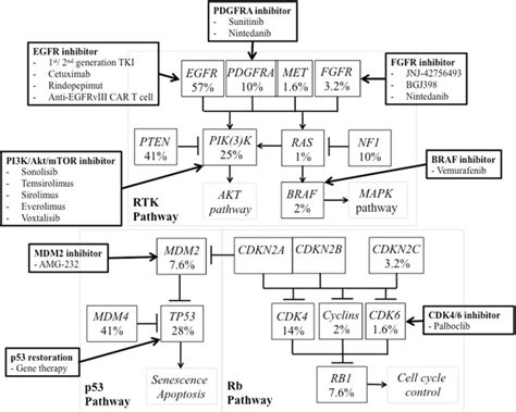 Targeted Therapies Against Canonical Receptor Tyrosine Kinase Rtk Download Scientific