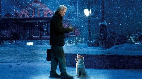 Siempre A Tu Lado Hachiko Ver Ahora En Filmin