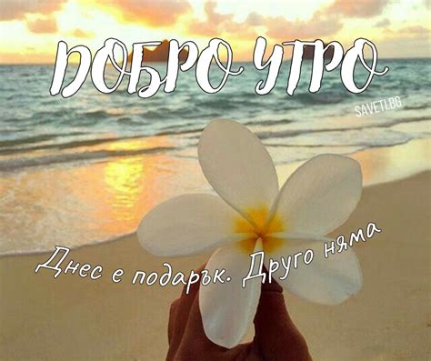 Картички за Добро утро – 95 Оригинални пожелания - Saveti.bg