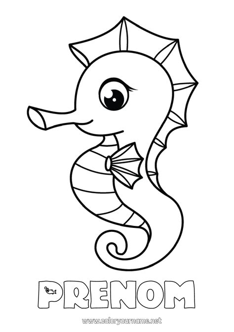 Coloriage Hippocampe 1 Coloriages Animaux Marins En Italien Porn Sex