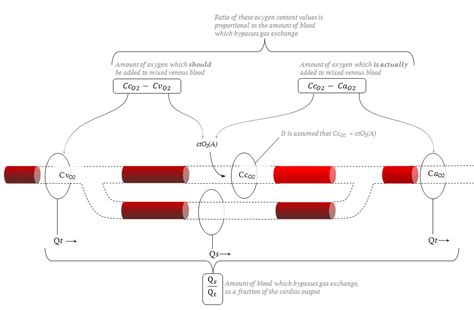 Optimal PEEP For Open Lung Ventilation In ARDS Deranged Physiology