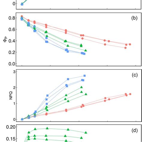 Light Response Curves Of Net Co Assimilation Rate A A Quantum