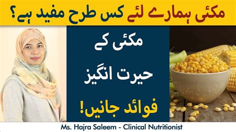 What Are The Benefits Of Eating Corn Urdu Hindi Makai Khany Ke Kya