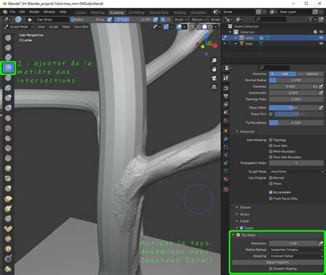 Blender 2 91 un arbre sculpté Rodicq Art No