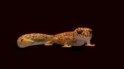 Leopard Gecko 3d Model By Zyleck C373eda Sketchfab