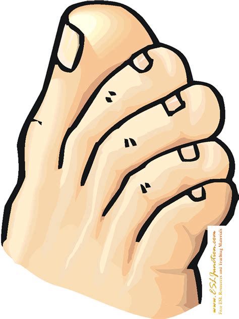 Toes Clipart 290881