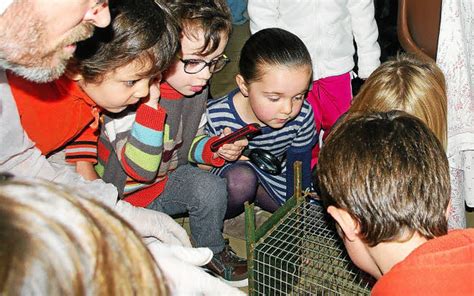 Polysonnance Une Chasse Aux Monstres Fructueuse Le Télégramme