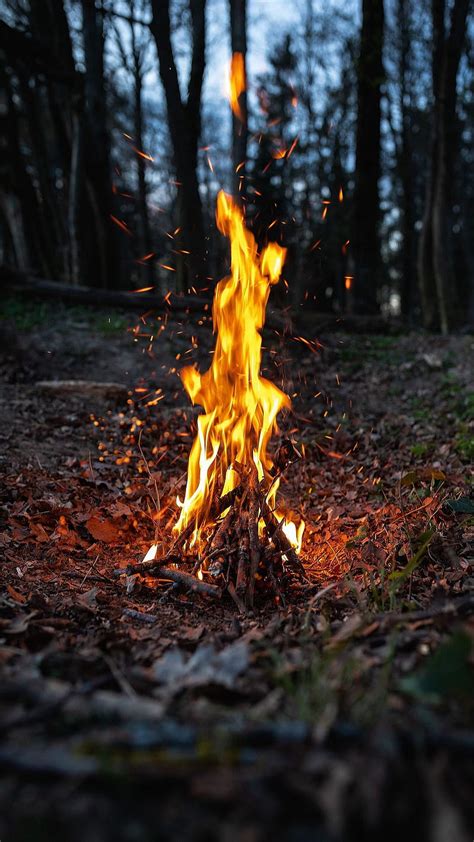 Fire Camping Flame Forest Nature Wood Hd Phone Wallpaper Peakpx