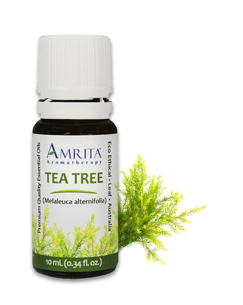 Amrita Aromatherapy Tea Tree Organic 10 Ml Health And Household