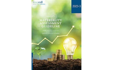 A Step By Step Guide To A Successful Materiality Assessment