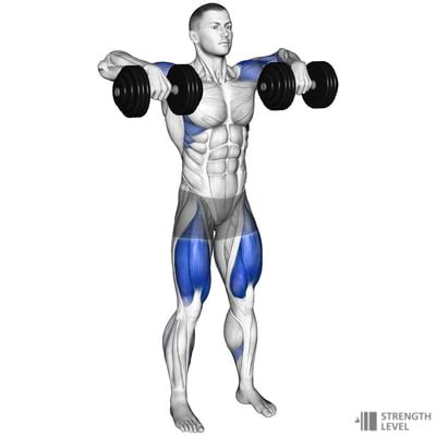 Dumbbell High Pull Standards For Men And Women Lb Strength Level