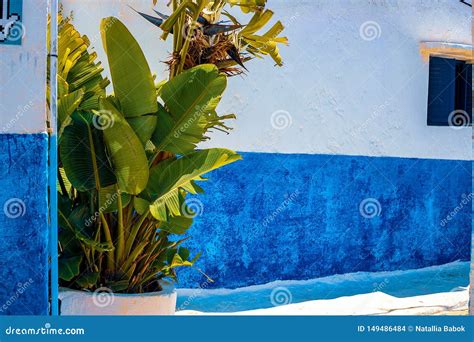 Rue Bleue Et Blanche Dans Le Des Oudaias De Kasbah Rabat Maroc Photo