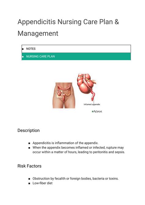 Solution Appendicitis Nursing Care Plan Management Medical And