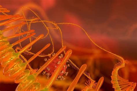 What’s next for RNA-based medicine post-Covid-19? - Drug Discovery ... 