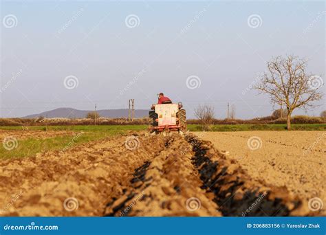 Agricultor Num Trator Azul Plantando Batatas Um Pequeno Trator Foto