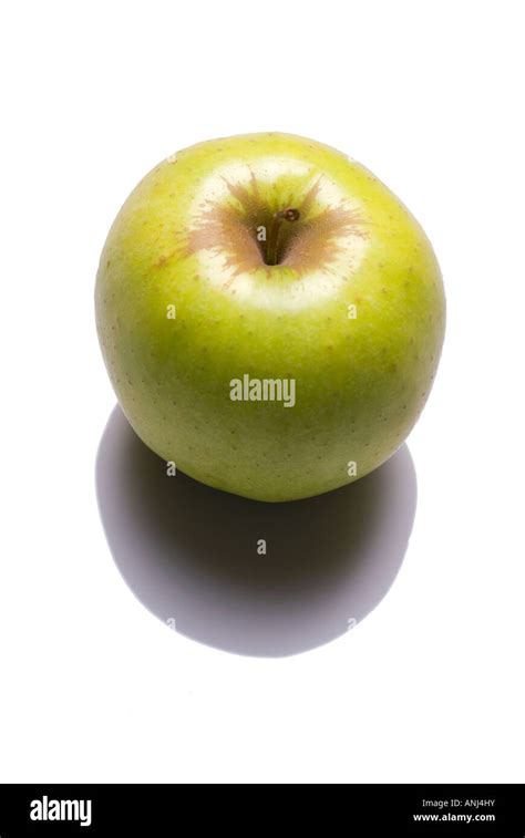 Apple Malus Domestica Stock Photo Alamy