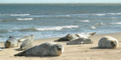 Winterton Dunes Beach, England - Heroes Of Adventure