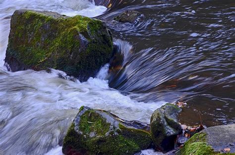 Fluss Bach Natur Kostenloses Foto Auf Pixabay Pixabay