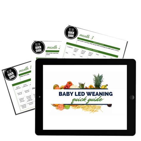 Baby Led Weaning Menu & Quick Guide - 50% off! - Minnesota Momma