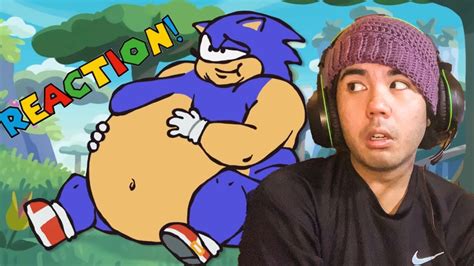 The Ultimate “sonic The Hedgehog” Recap Cartoon Reaction Chubby Sonic Youtube