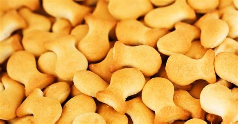 Торт из печенья рыбки - 7 вкусных и быстрых рецептов приготовления